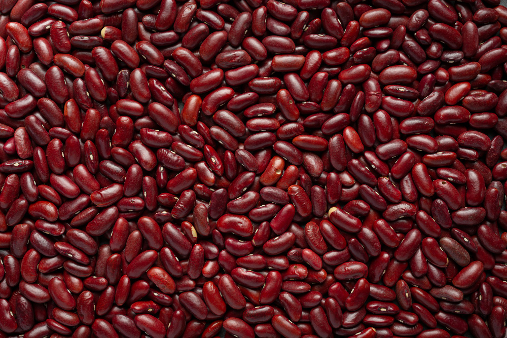 Rajma Seed
