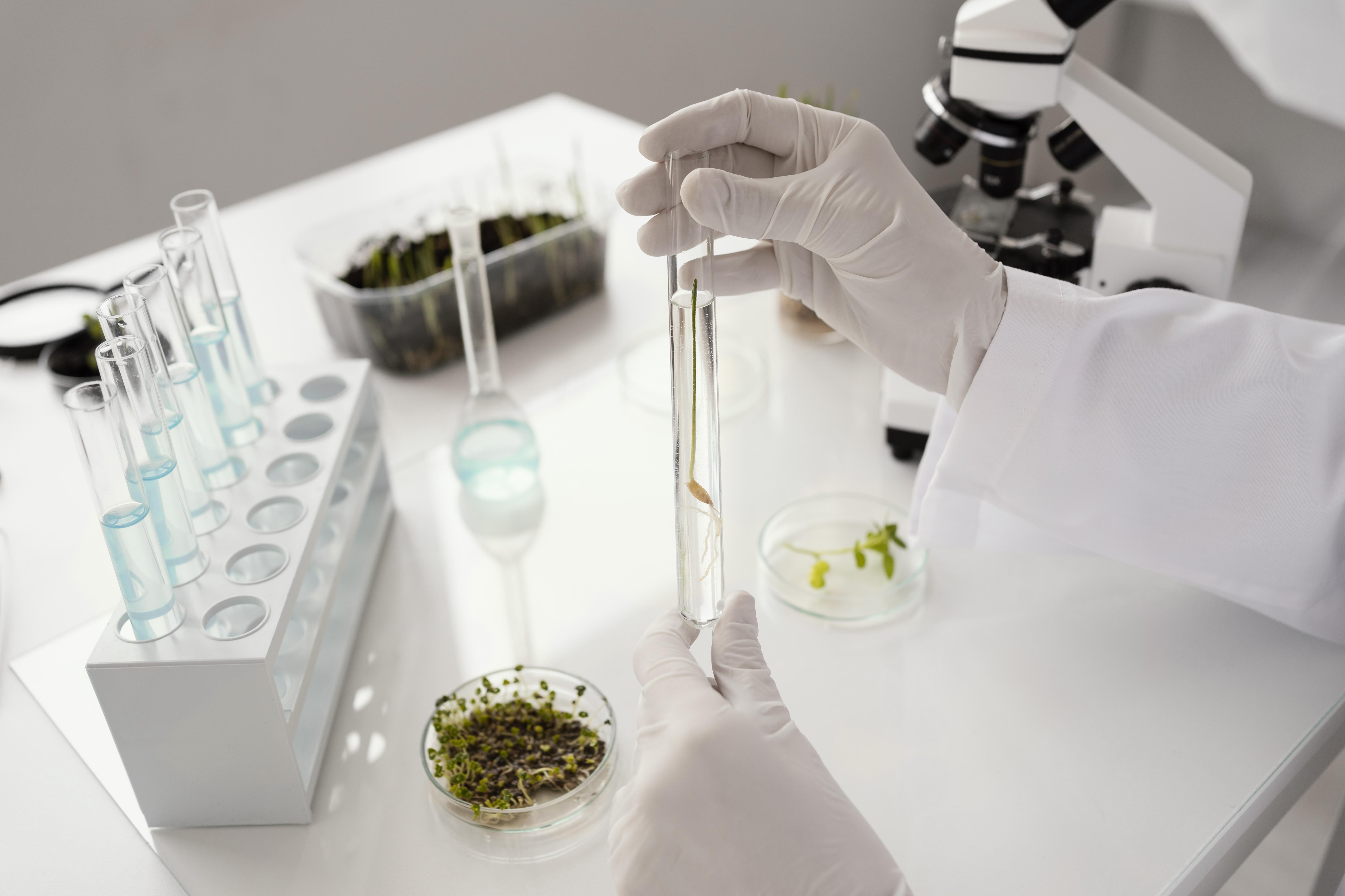 Indian Seed Quality Assurance Professional