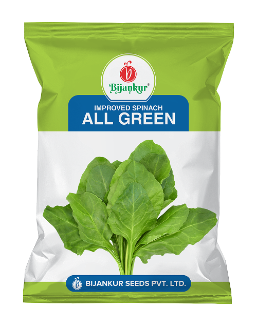 Spinach — All Green