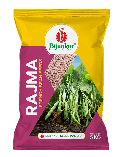 French Bean / Rajma — Phule Rajma