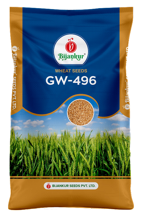 Wheat — GW-496
